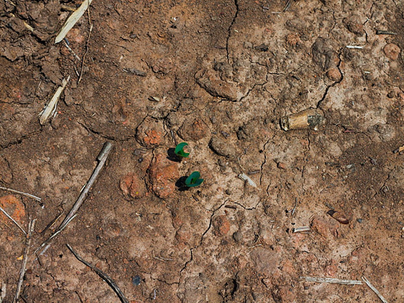 土壤檢測(cè)費(fèi)用一般是多少？