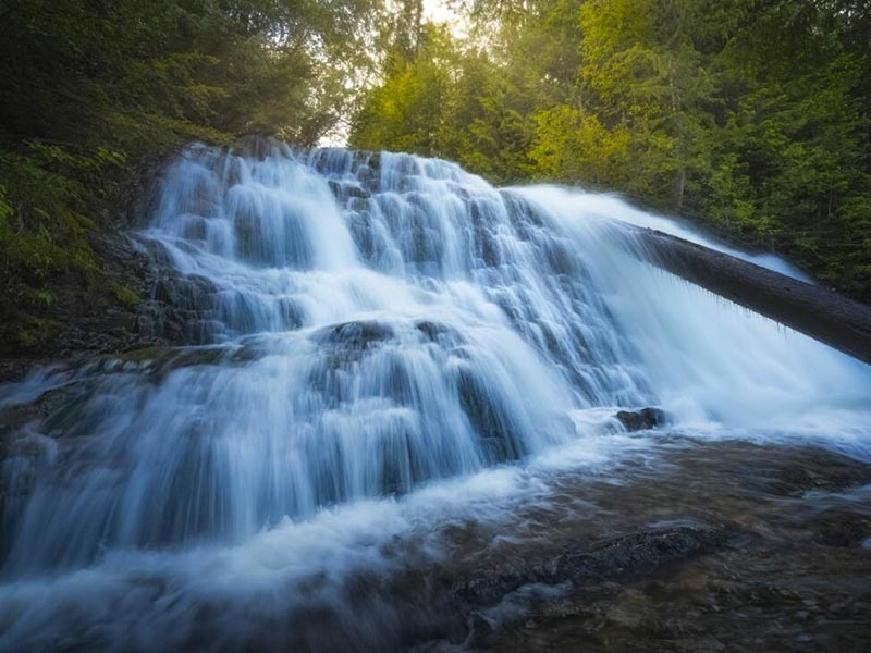 水質(zhì)生物毒性檢測儀應(yīng)用的必要性