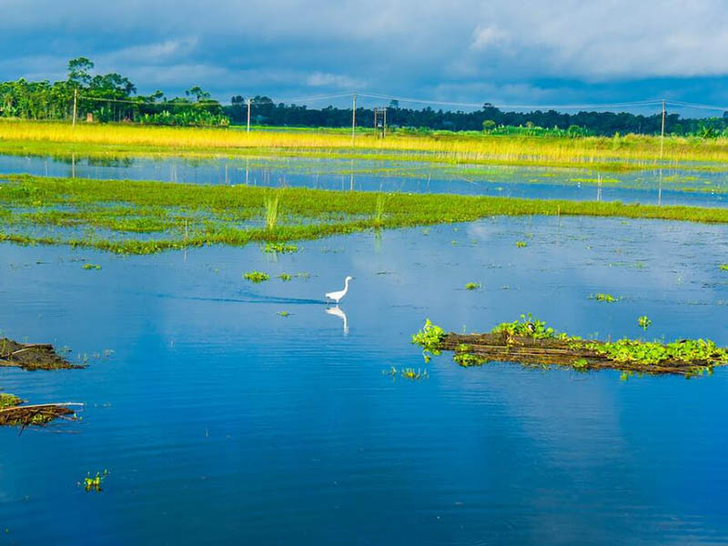pH傳感器功能特點(diǎn)