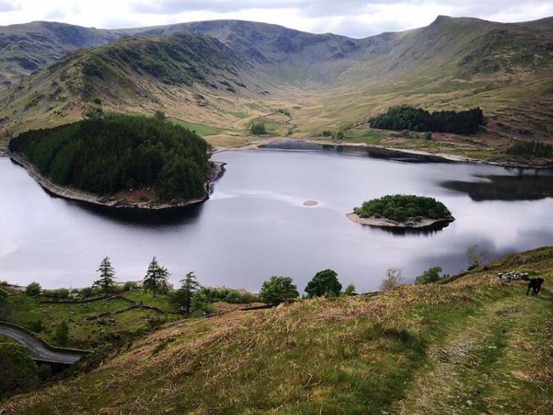 在線COD分析儀使用要求（在線COD分析儀廠家）