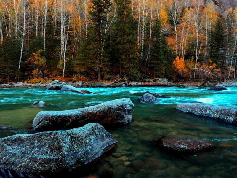 氨氮測定儀基本工作原理
