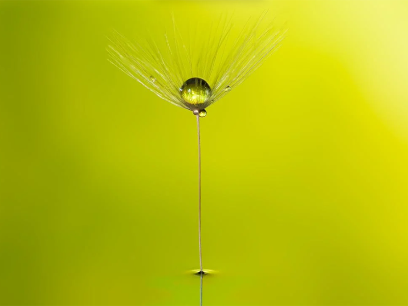 在線氨氮分析儀檢定規(guī)程（在線氨氮分析儀安裝、使用及維護）