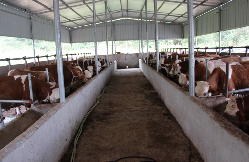 養(yǎng)殖場(chǎng)污水處理方法，養(yǎng)殖污水處理設(shè)備的用途講解02