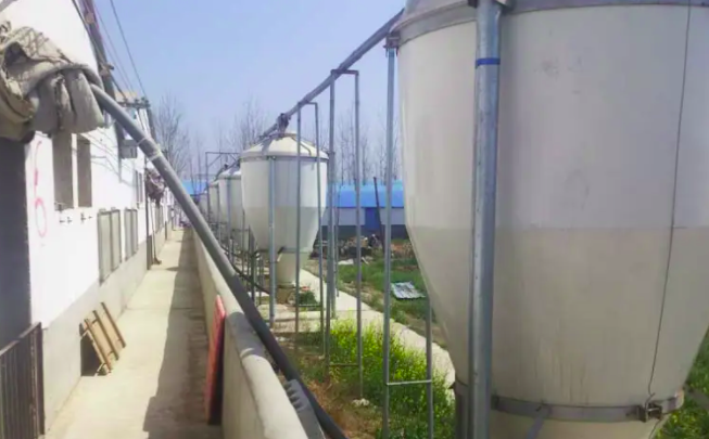 養(yǎng)豬污水處理設(shè)備一套多少錢(qián)？掌握這三點(diǎn)幫助你節(jié)約成本