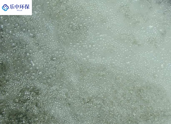 溶氣氣浮機(jī)泡沫多什么原因？如何解決？