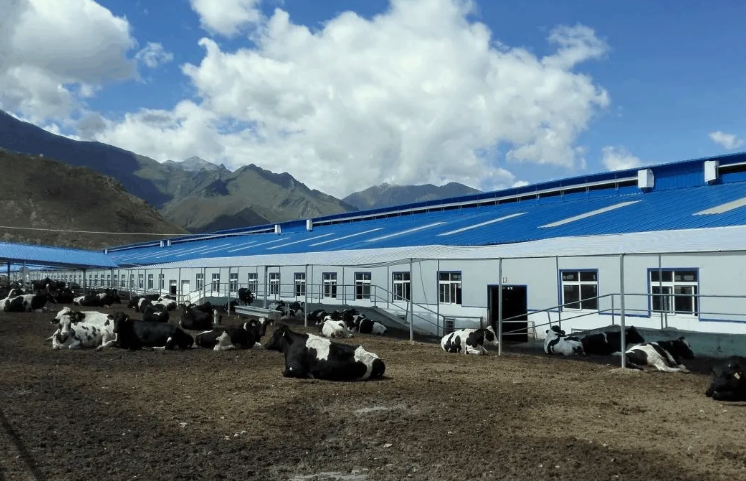 100多頭豬養(yǎng)殖廢水處理方法，用這兩種方法投入低、輕松達(dá)標(biāo)！