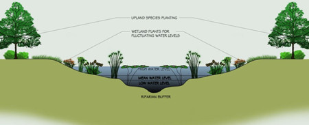 表流濕地和潛流濕地分別是什么意思（表流人工濕地施工）