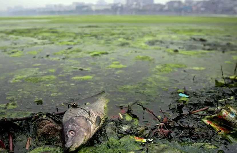 水污染治理方法有哪些(水污染的防治措施有哪些) 水污染治理方法有哪些(水污染的防治措施有哪些)