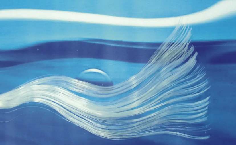 膜技術(shù)工作原理介紹(膜技術(shù)應(yīng)用有哪些) 膜技術(shù)工作原理介紹(膜技術(shù)應(yīng)用有哪些)