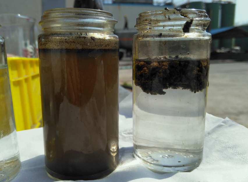 AO工藝出水SS高什么原因|怎么辦？