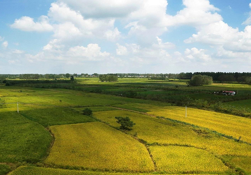 土壤水分測定儀 土壤水分測定儀