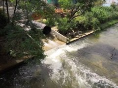 便攜式余氯測定儀，可準(zhǔn)確分析水體狀況